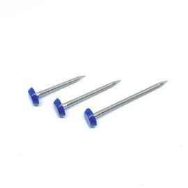 40mm SUS316 Ring Shank Plastic Cap Nails voor het Bevestigen van Band en Soffit