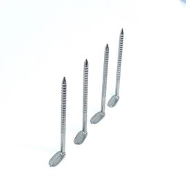 Rechte hoek L Hoofd Roestvrij Ring Shank Nails/Misvormde Steelspijkers