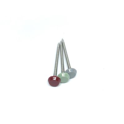 2.0MM Plastic Hoofd 316 het Roestvrije staalspijkers van de Draaddiameter