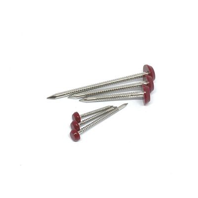 Buitenbouw Diamond Point Plastic Head Nails