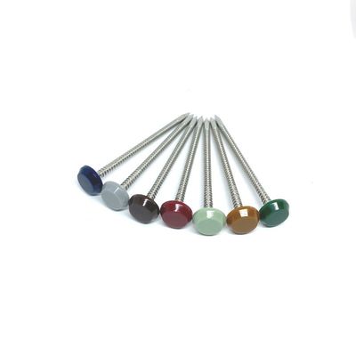 Opgepoetst 316 Roestvrij staal Ring Shank Plastic Head Nails
