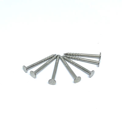 1.6X19MM Ring Shank 316 roestvrij staal vlakke hoofdspijkers