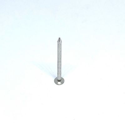 Vier Holle Spijkers van het Steel vlak Hoofd 2.8X30MM A4 Roestvrije staal voor Hout