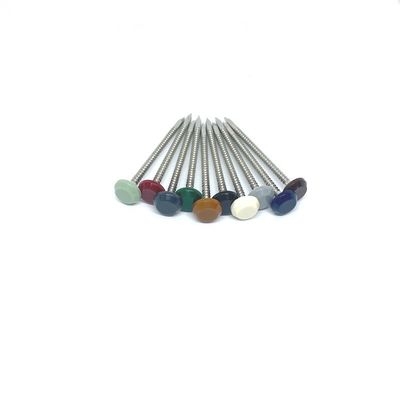 A4 Nylon PA6 Hoofd van Roestvrij staal het UV Stabiele Plastic Hoofdspijkers
