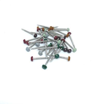 Het nylon Ringvormige Ring Plastic Headed Pins Stainless Staal 304L van PA6