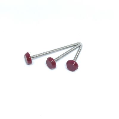 65MM Roestvrij staal A2 Ringvormig Ring Nails Nylon PA6