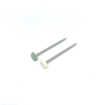 Vrije Plastiek Geleide de Spijkers Nylon PA6 50MM Lengte van het roestvrij staalonderhoud