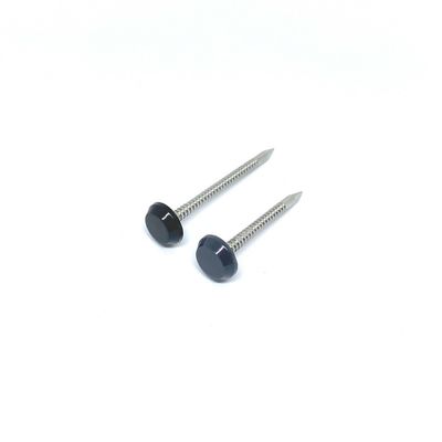 De grijze Plastic Hoofdspijkers van SUS316 met Ringvormig Ring Shank Shark Point