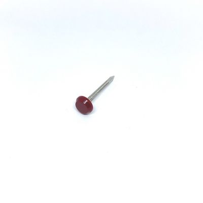 A4 Roestvrij staal Anti UV Geringde 40MM Plastic Hoofdspijker Diamond Point