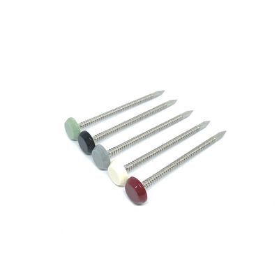 65MM Lengte Nylon Plastic Hoofdspijkers met Geringde Steel