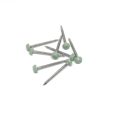 Roestvrij staal A2/A4 Ring Shank Plastic Head Nails 2.0X30mm