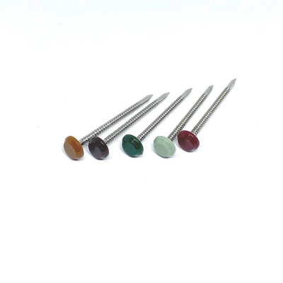 Ringvormige Groove 316-Roestvrij staal Poly Hoofdspijkers 50MM Lengte