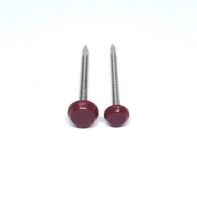 Ring Shank Plastic Head Nails voor Bouw 50mm Lengtea4 Roestvrij staal