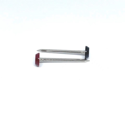 Ringvormig Ring Shank Plastic Head Nails voor Dakwerk 3.0X50MM