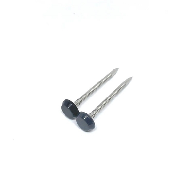 A4 Zwart Antraciet Grijs 50MM van Roestvrij staalring shank plastic head nails