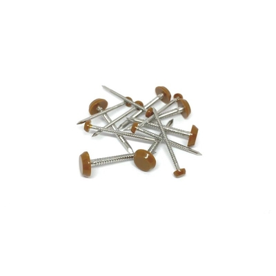 Ral 8003 Bruine Anti UV Plastic Hoofdspelden & Spijkers voor Dakwerk 2,0/3.0X40mm