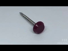 Roestvrijstalen spijker met kunststof kop